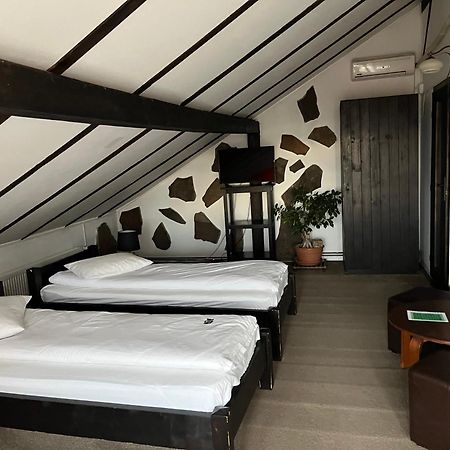 Pensiunea Maria Сибиу Экстерьер фото